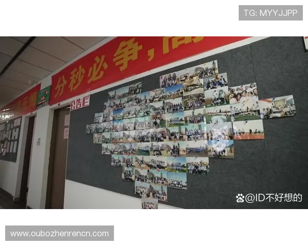 全面介绍真人娱乐的优势与风险：帮助玩家理性选择优质真人娱乐平台的实用建议